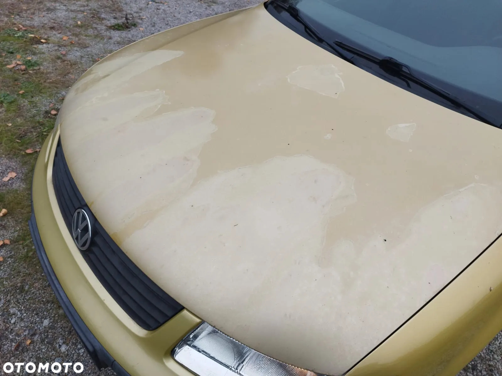 Volkswagen Passat - 33