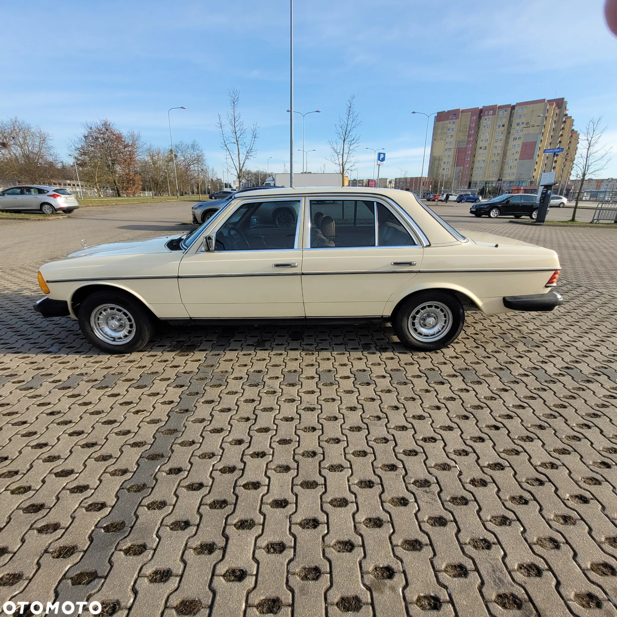 Mercedes-Benz W123 - 6