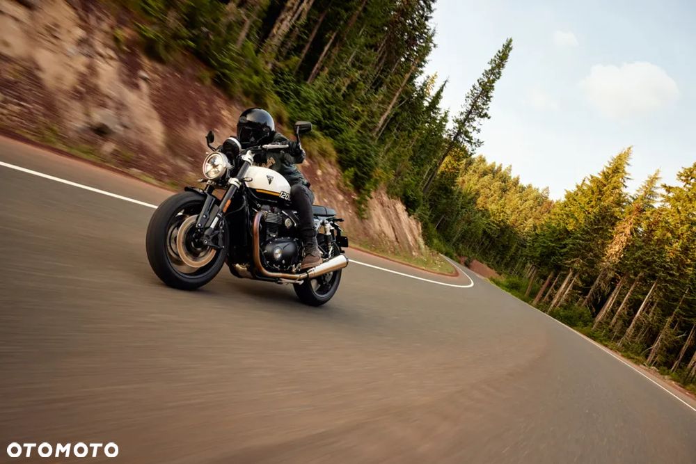 Triumph Speed Twin - 19