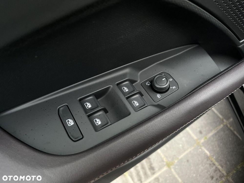 Cupra Terramar - 20