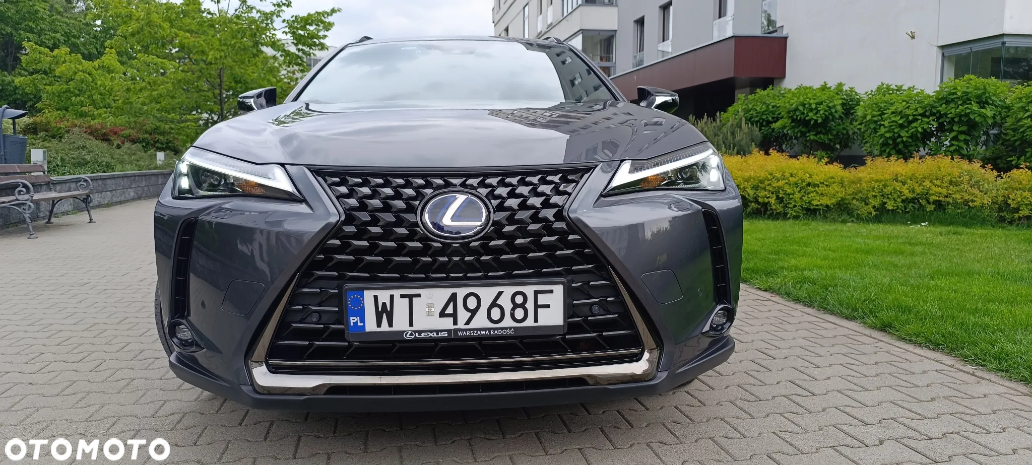 Lexus UX 250h GPF F Impression 2WD - 2