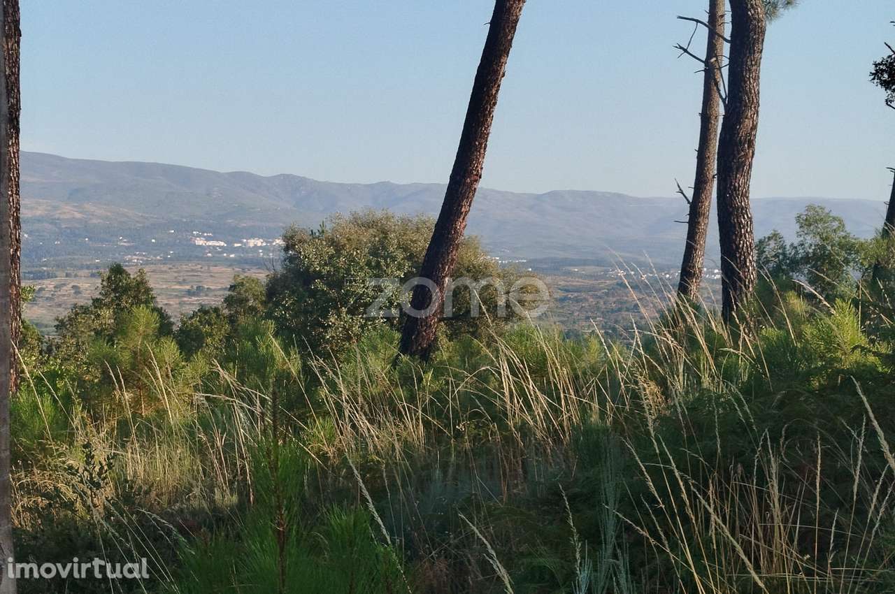 Terreno urbanizável, confinante c/ 2 arruamentos públicos pavimentos - Grande imagem: 2/25
