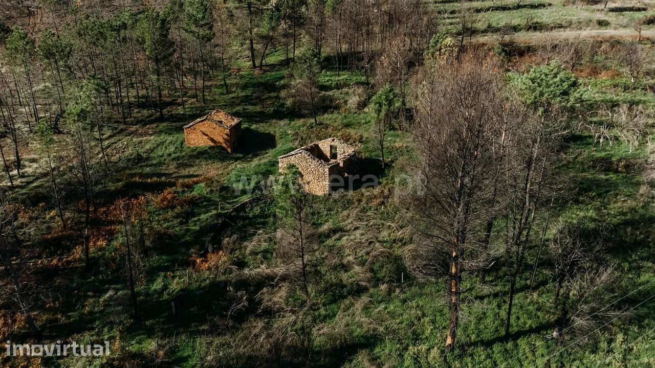Moradia Rústica T1 / Covilhã, Serra da Estrela - Grande imagem: 3/15