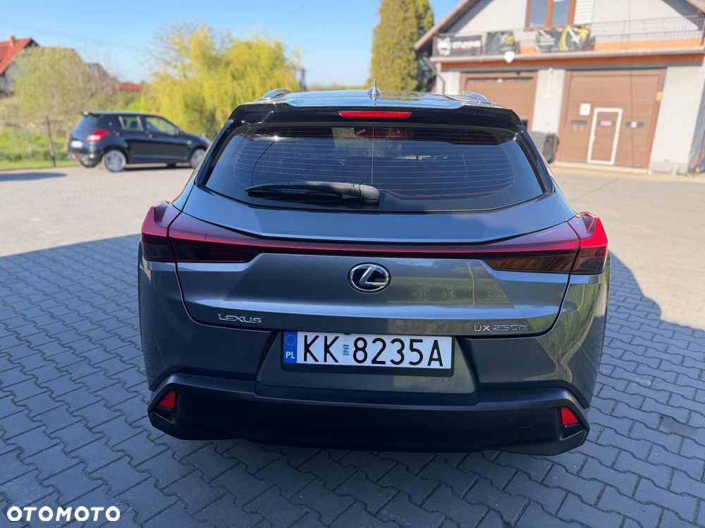 Lexus UX 250h Elegance 2WD - 6