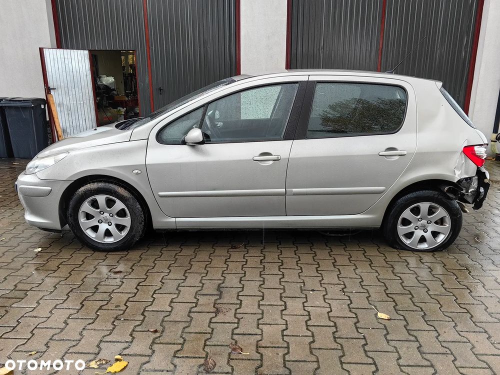 Peugeot 307 1.4 Presence - 7