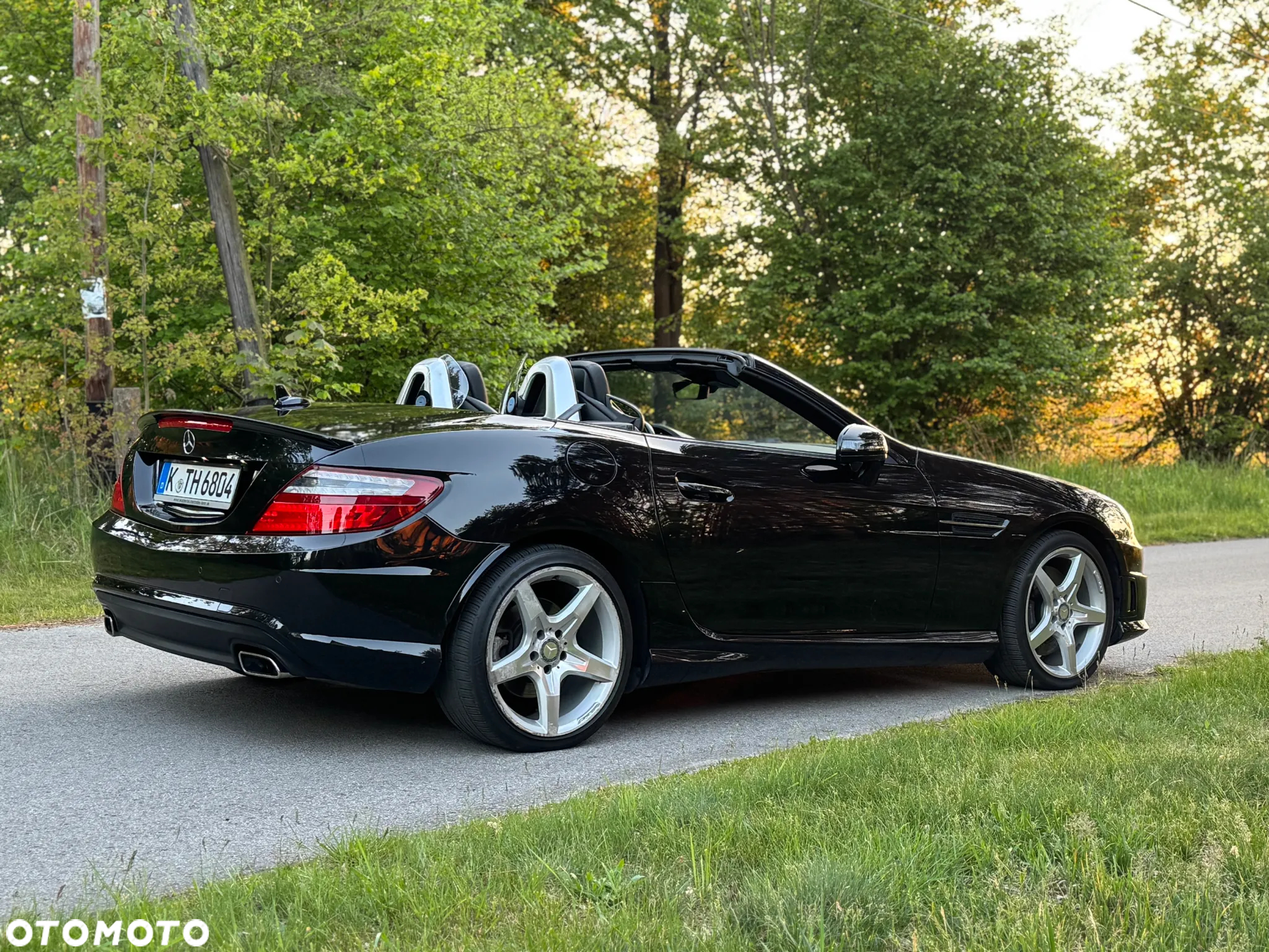 Mercedes-Benz SLK 200 BlueEFFICIENCY Edition 1 - 18