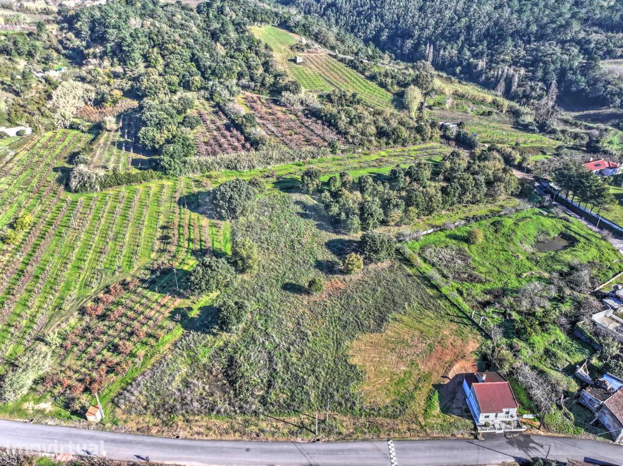 Terreno Rústico c/ 3.000m2 de Viabilidade de Construção - Grande imagem: 3/7