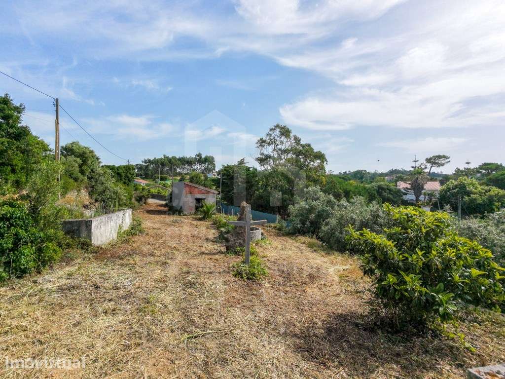 Terreno - Ericeira 6 km , A Casa das Casas - Grande imagem: 3/23
