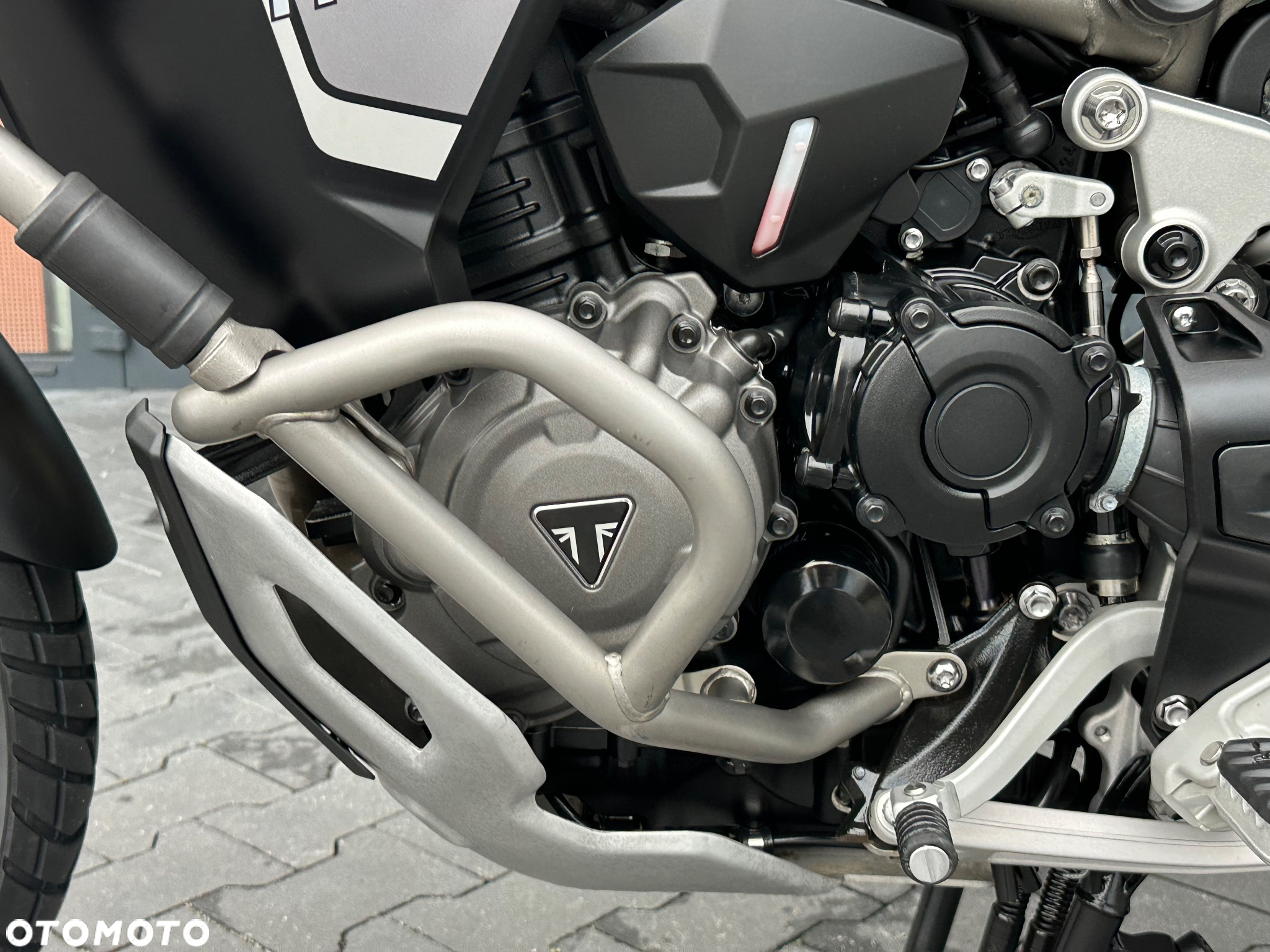 Triumph Tiger - 39
