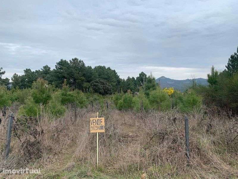 Terreno Granja - Alijó - 4400m2 - Grande imagem: 3/3