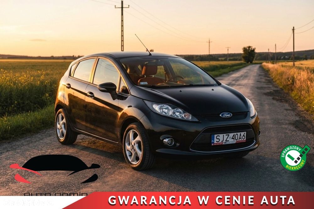 Ford Fiesta 2010