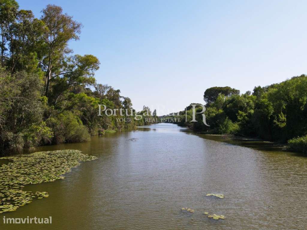 Herdade com 134 hectares em Beja - Grande imagem: 3/50