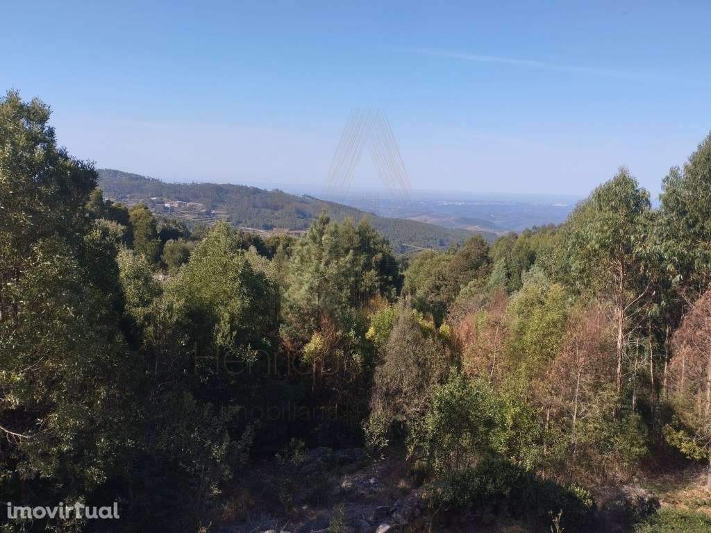 Magnífica quinta no meio da natureza em Sever do Vouga - Grande imagem: 4/41