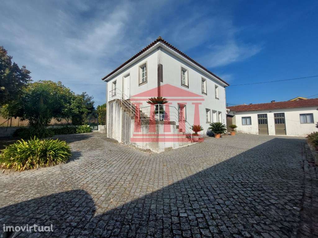 QUINTINHA COM CASA E ANEXOS - AREIAS - BARCELOS - Grande imagem: 3/18