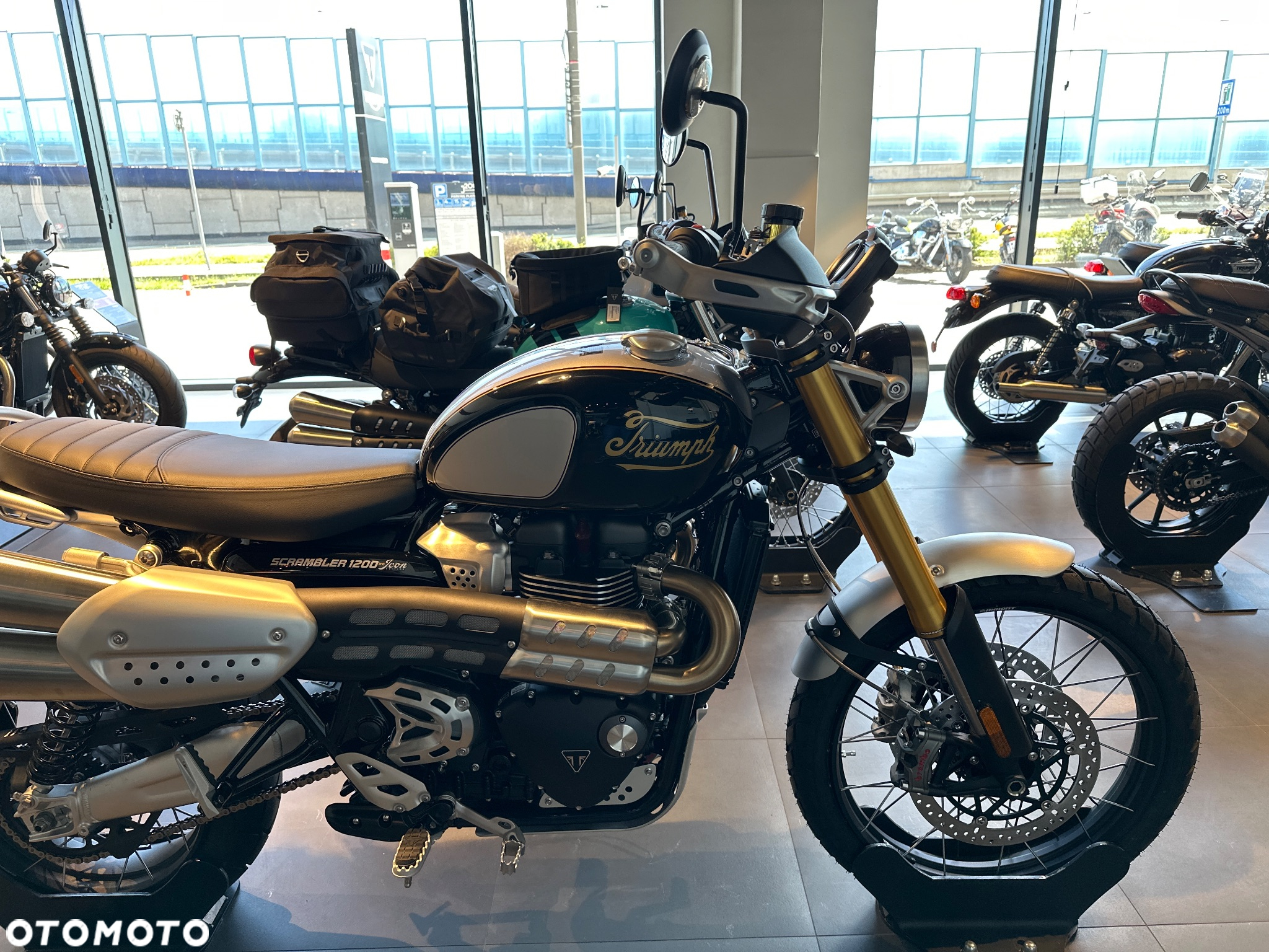 Triumph Scrambler - 8