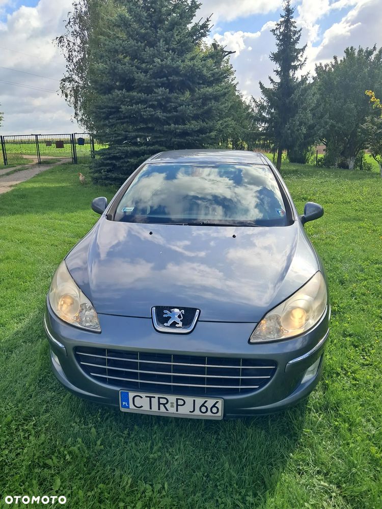 Peugeot 407 - 6
