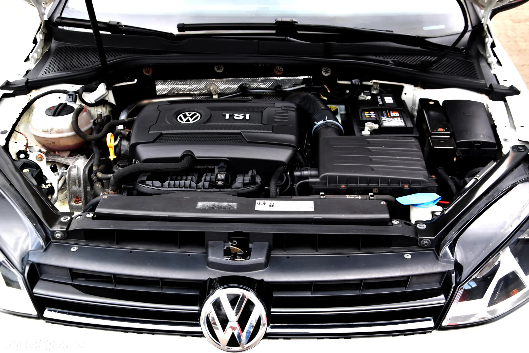 Volkswagen Golf - 5