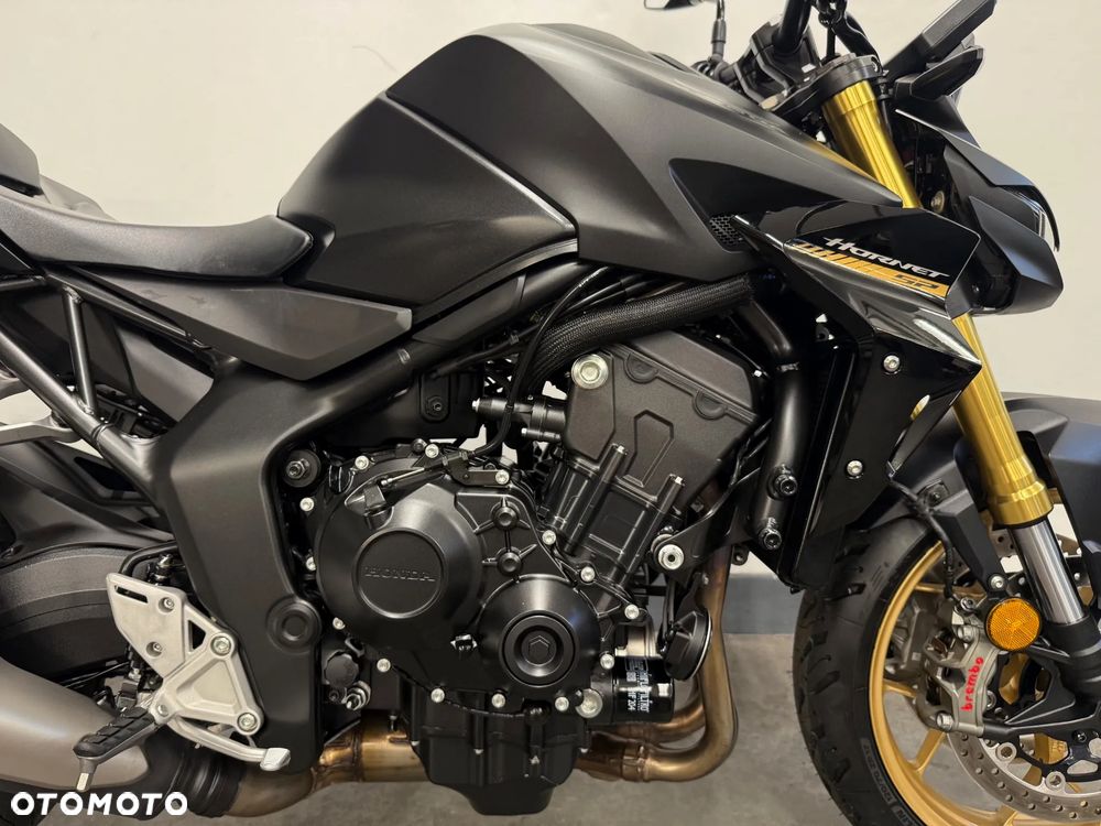 Honda Hornet - 18