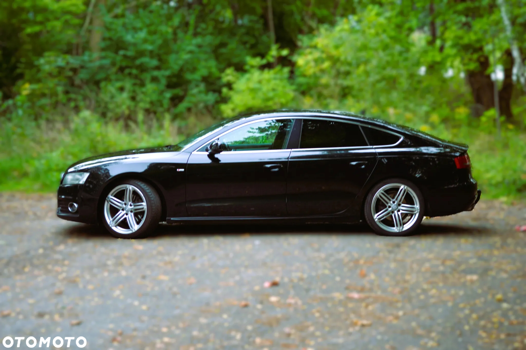 Audi A5 Sportback 2.0 TDI - 5