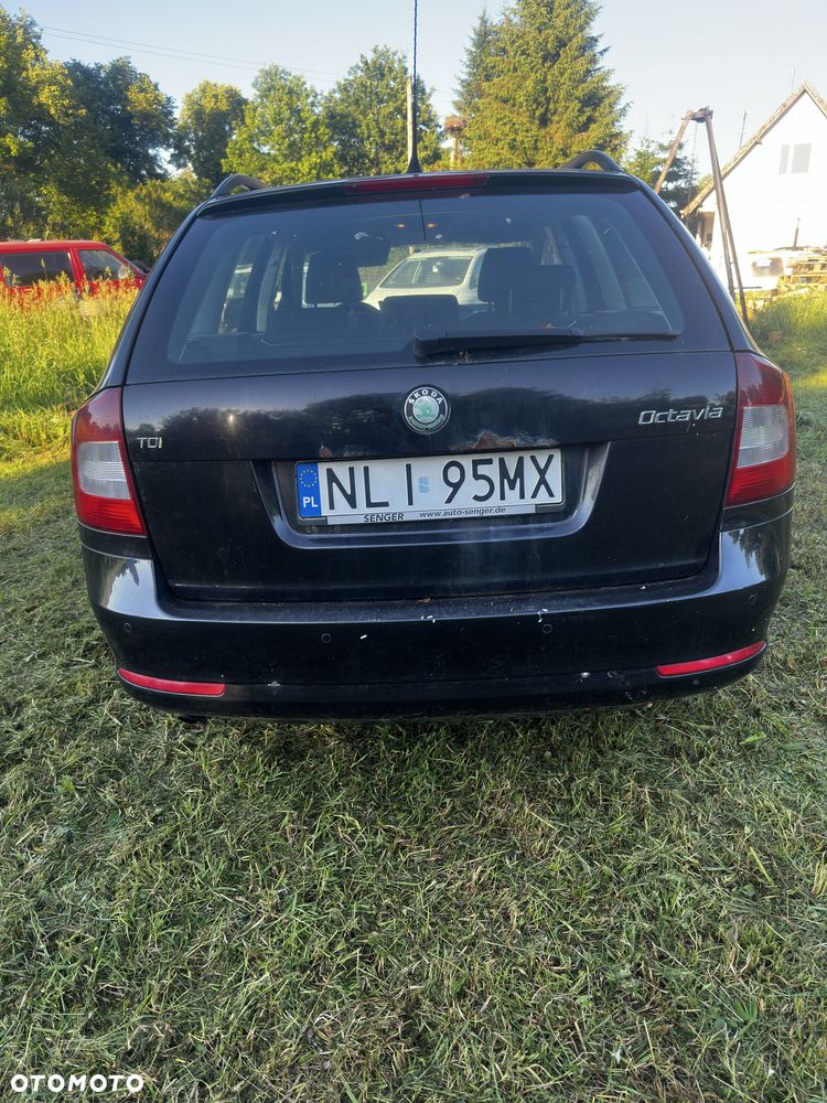 Skoda Octavia - 3