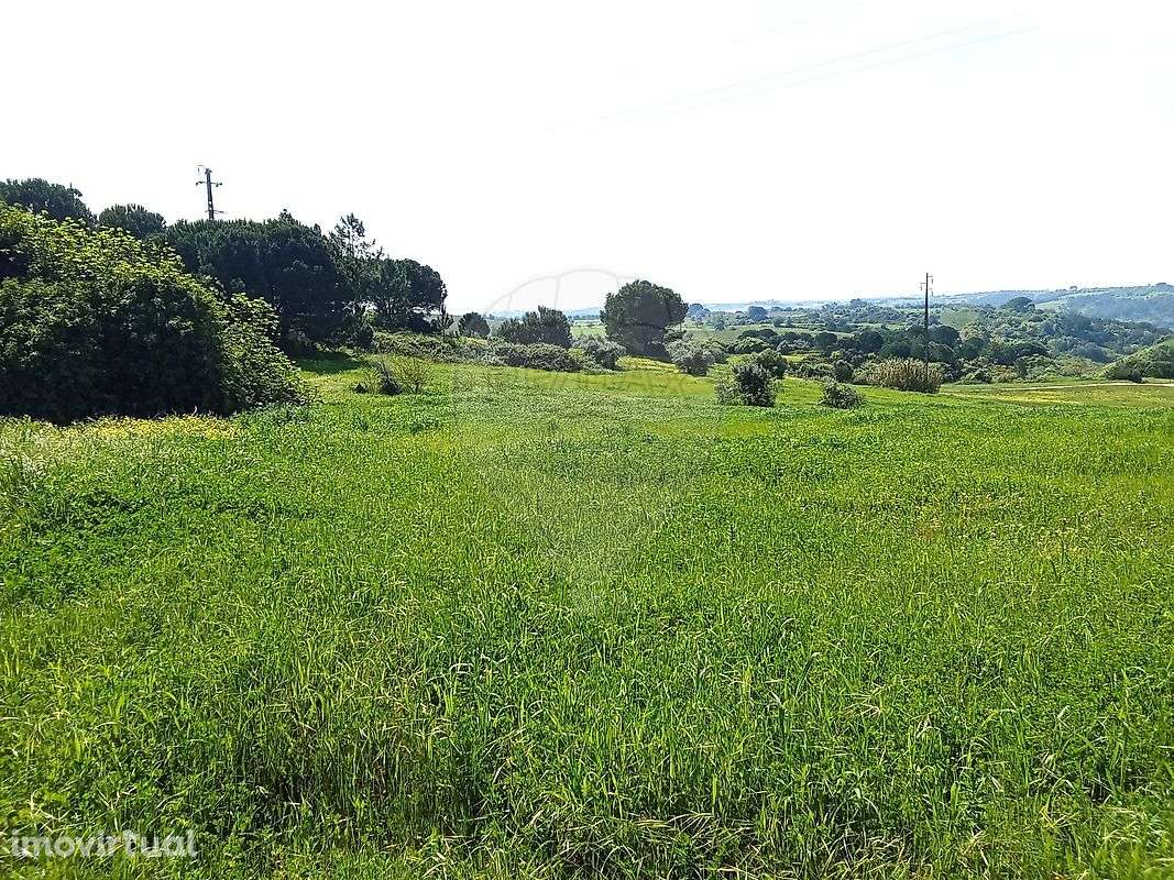 Terreno  para venda - Grande imagem: 4/19