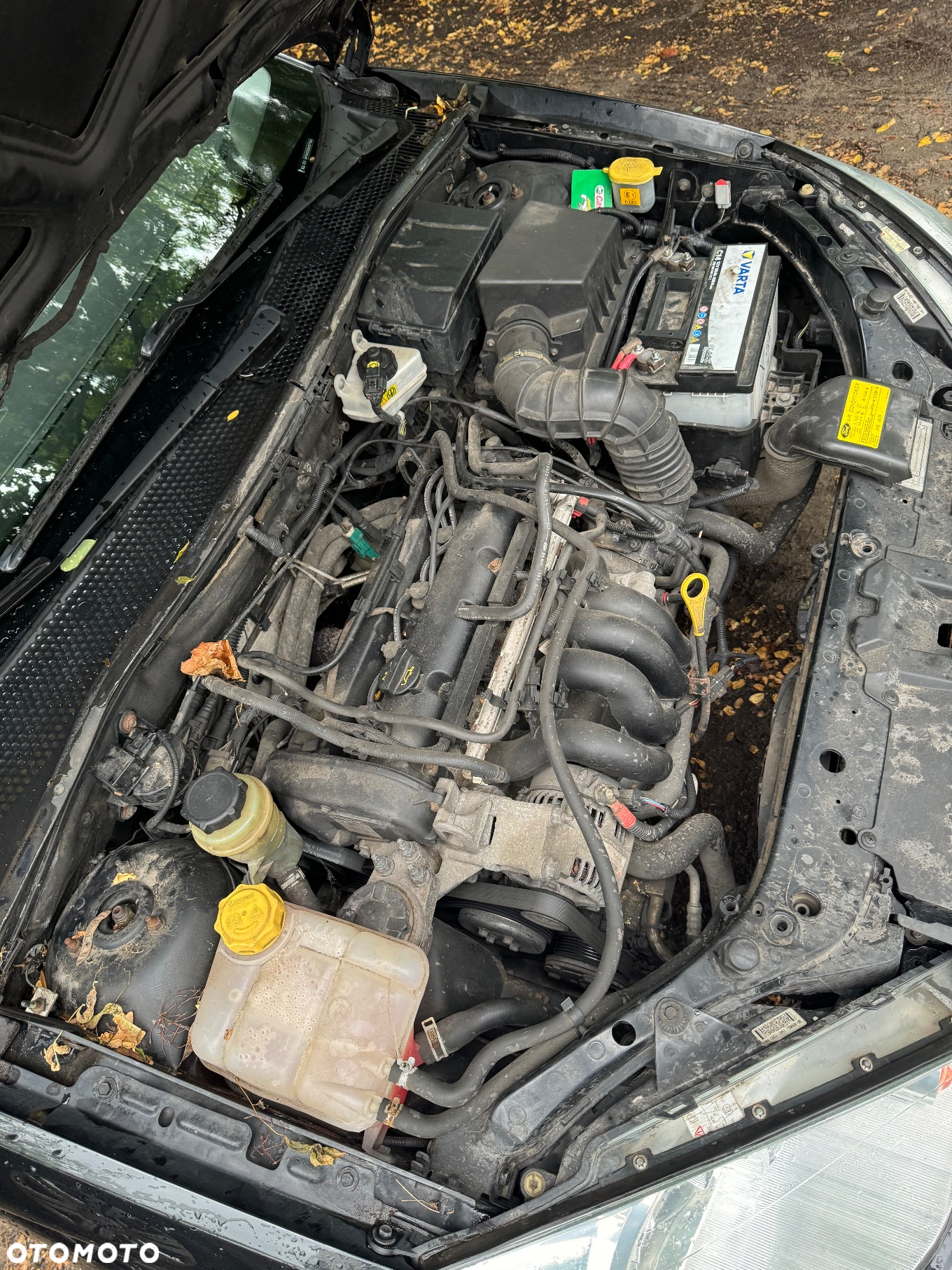 Ford Focus 1.8 Di Ambiente - 17