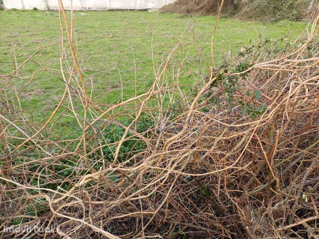 Terreno urbanizável para construção com 5400m2, bem localizado em G... - Grande imagem: 3/6