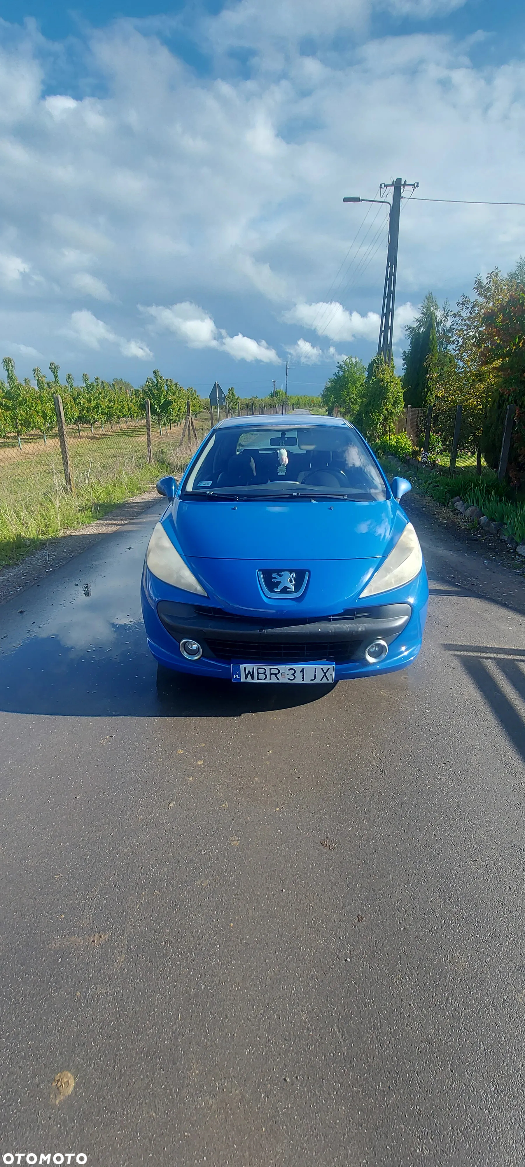 Peugeot 207 - 7