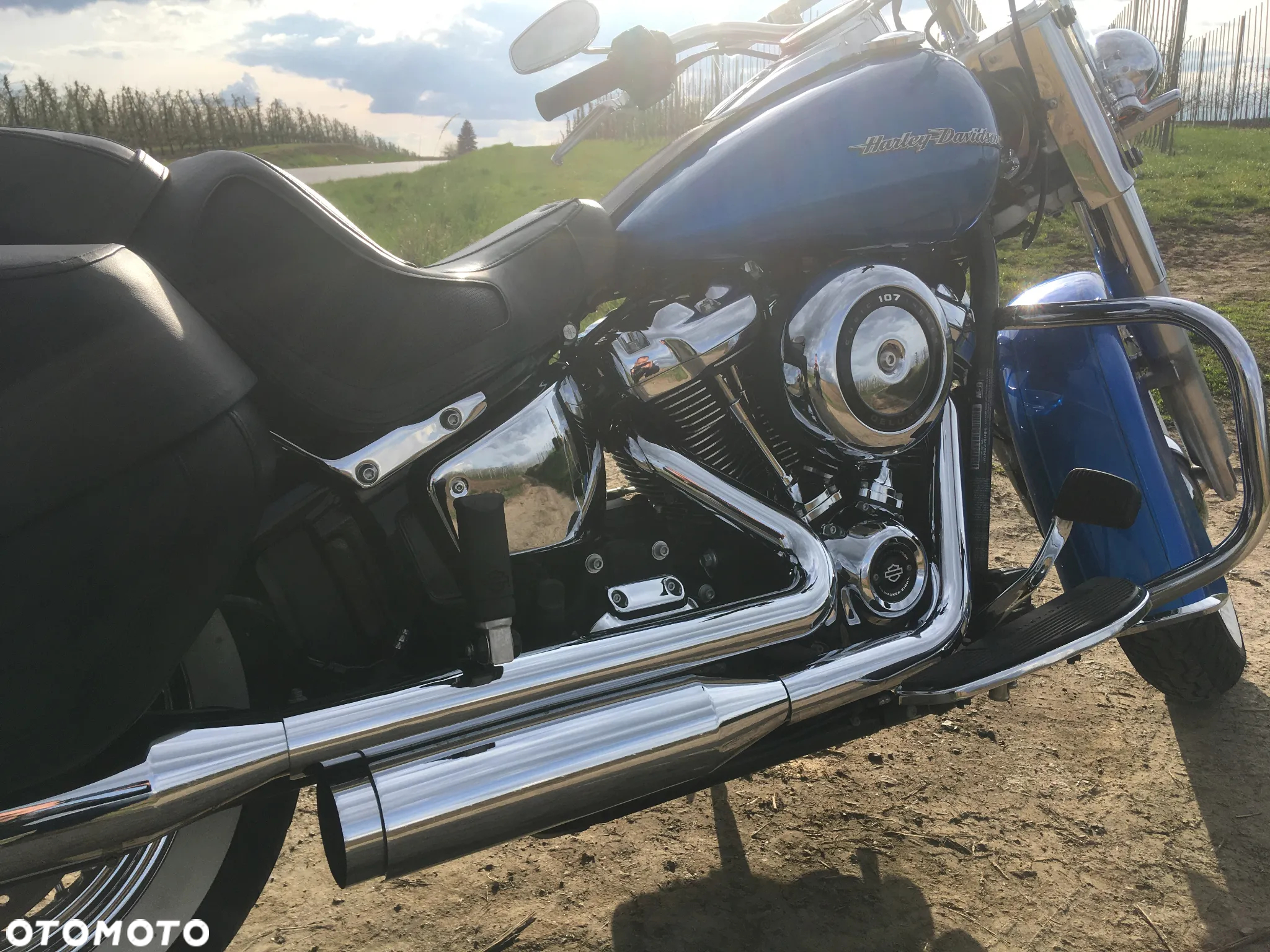 Harley-Davidson Softail Deluxe - 7
