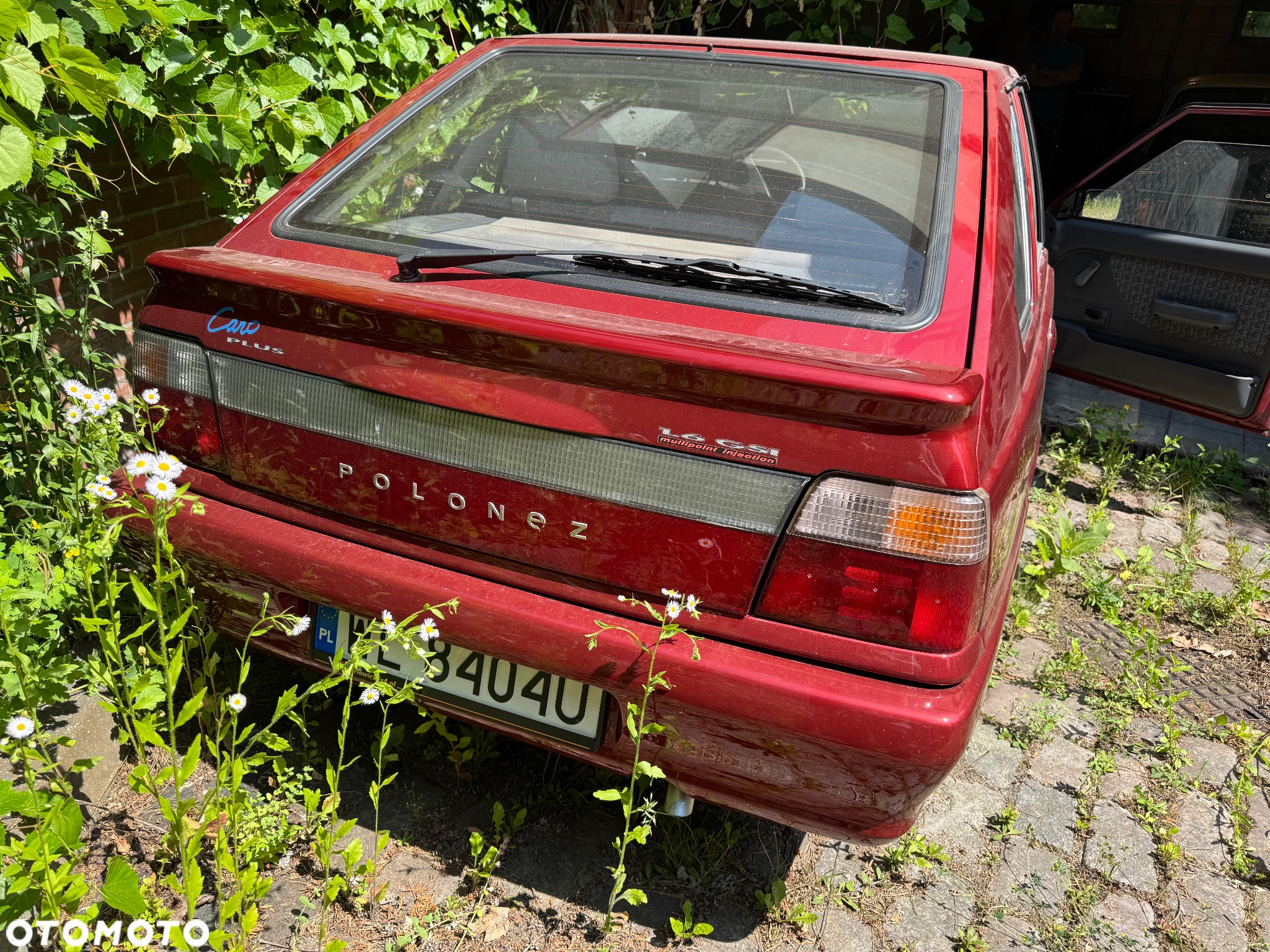 Polonez Caro - 8
