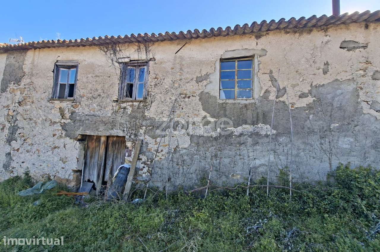 Quinta com 9 mil m2 na Póvoa da Rainha Santa- P. da BEIRA - ARGANIL - Grande imagem: 4/15