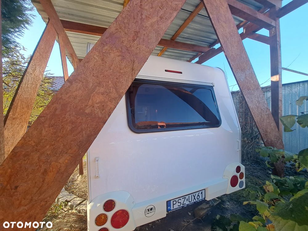 Niewiadów Sprint - 5