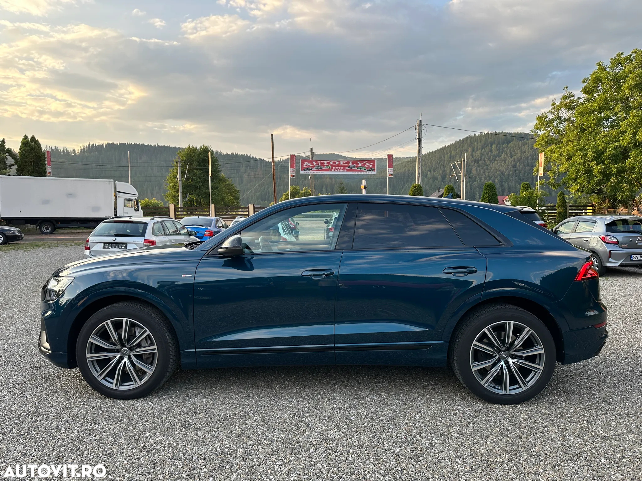 Audi Q8 3.0 50 TDI quattro Tiptronic MHEV - 15