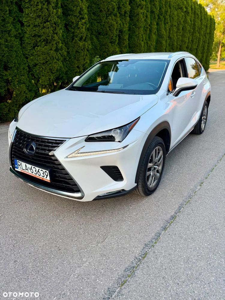 Lexus NX 300h Business Edition AWD - 11