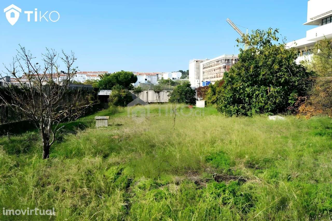 Terreno 2000m² - Ajuda - Grande imagem: 3/21