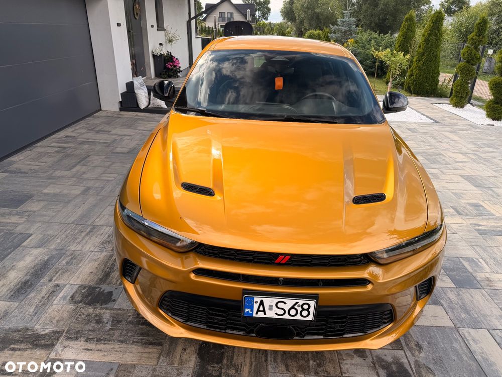 Dodge Hornet - 14