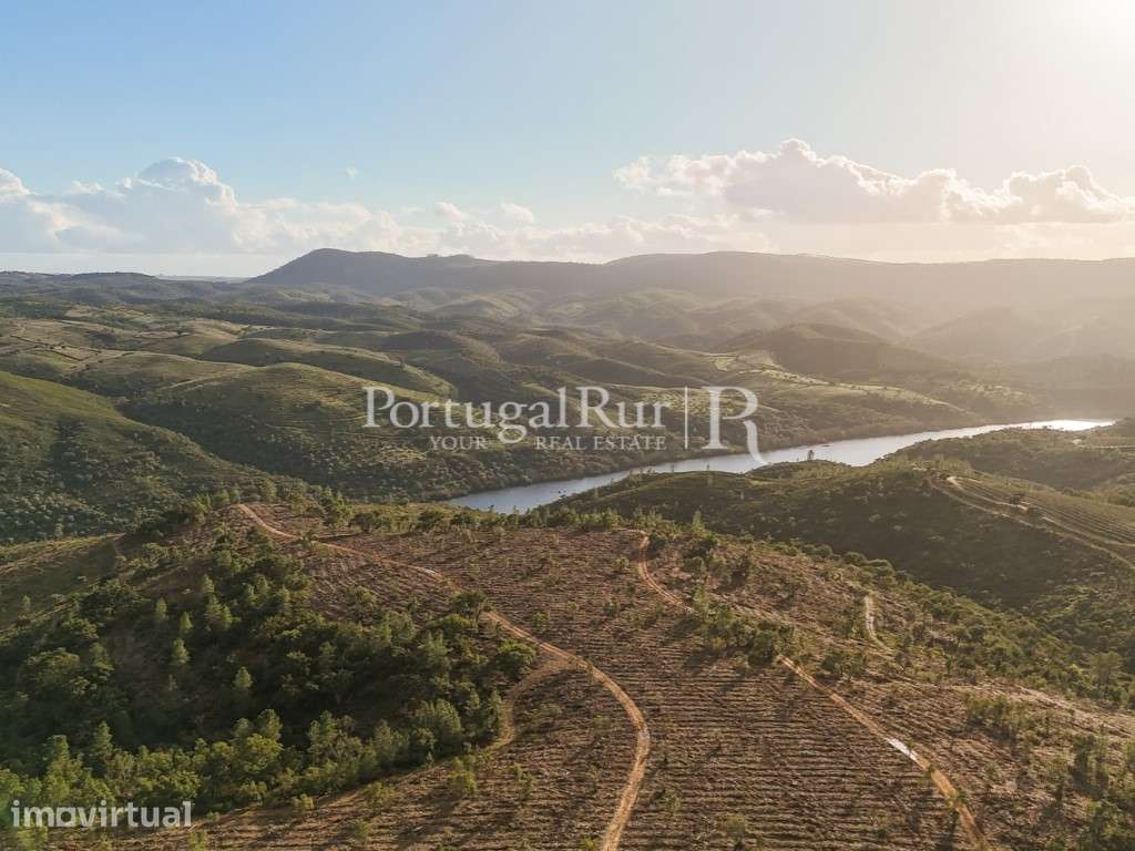Herdade Florestal com 66ha confinante com o Rio Tejo - Grande imagem: 2/34
