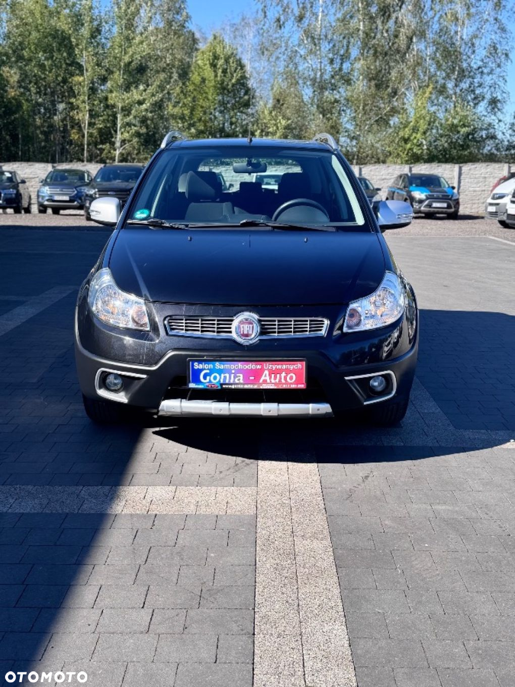 Fiat Sedici - 5