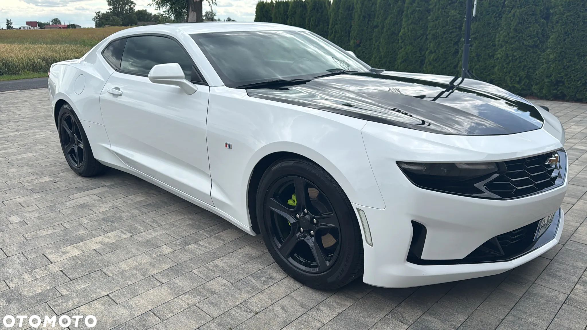 Chevrolet Camaro - 1