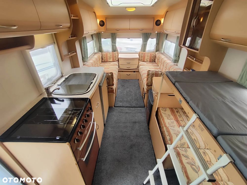 Coachman Amara - 5