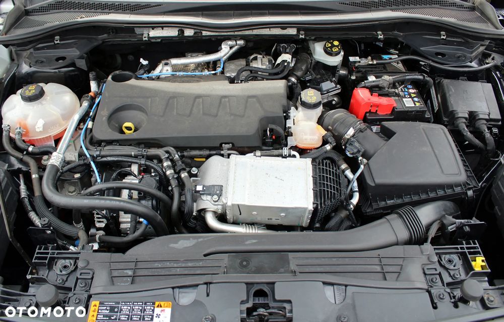 Ford Kuga 2.0 EcoBlue Hybrid TITANIUM X - 15