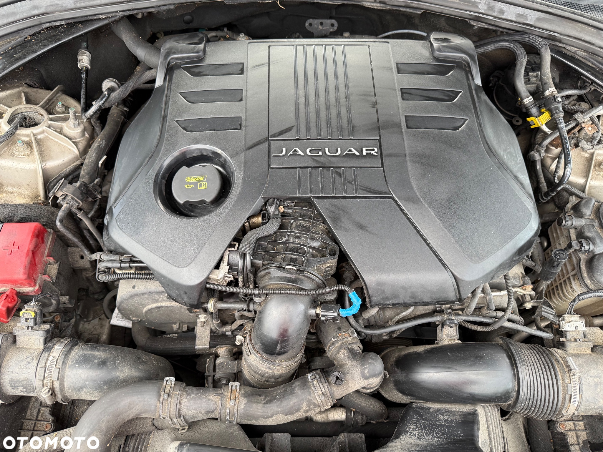 Jaguar F-Pace 30d AWD S - 33
