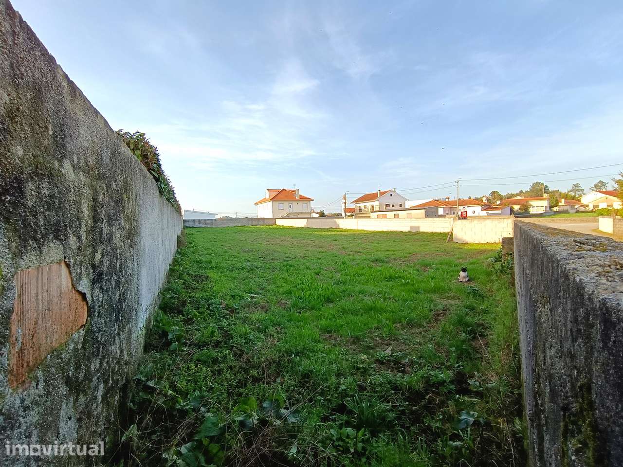 Terreno, Alvarães - Grande imagem: 5/10