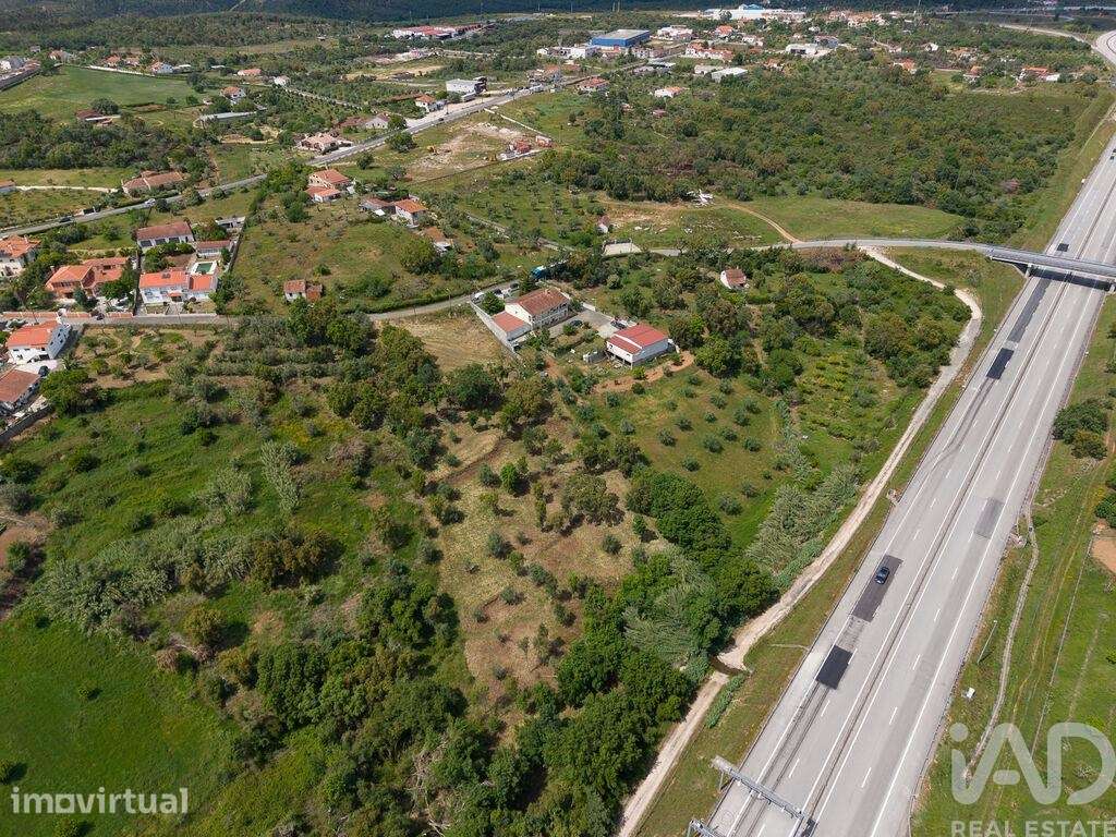 Terreno Agrícola em Casais e Alviobeira - Grande imagem: 5/36