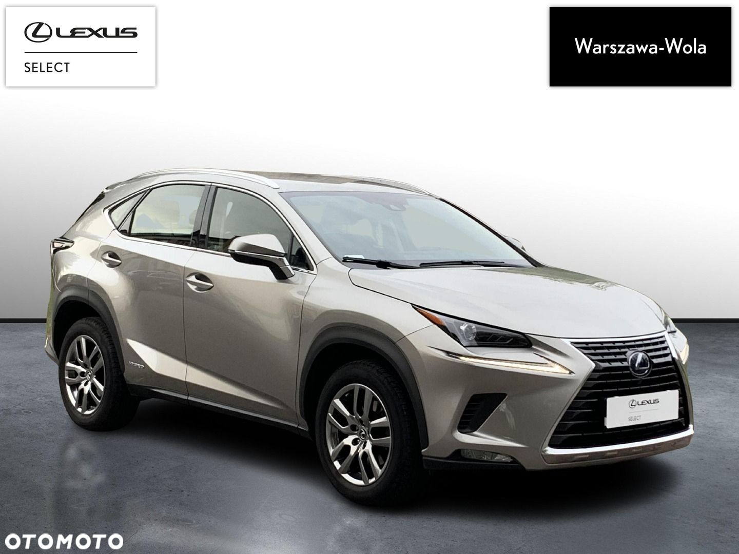 Lexus NX 300h Business Edition AWD - 9