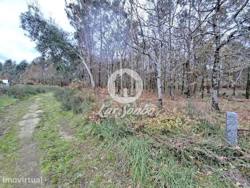 Terreno de 3.134m2 em Viatodos, Barcelos - Grande imagem: 2/8