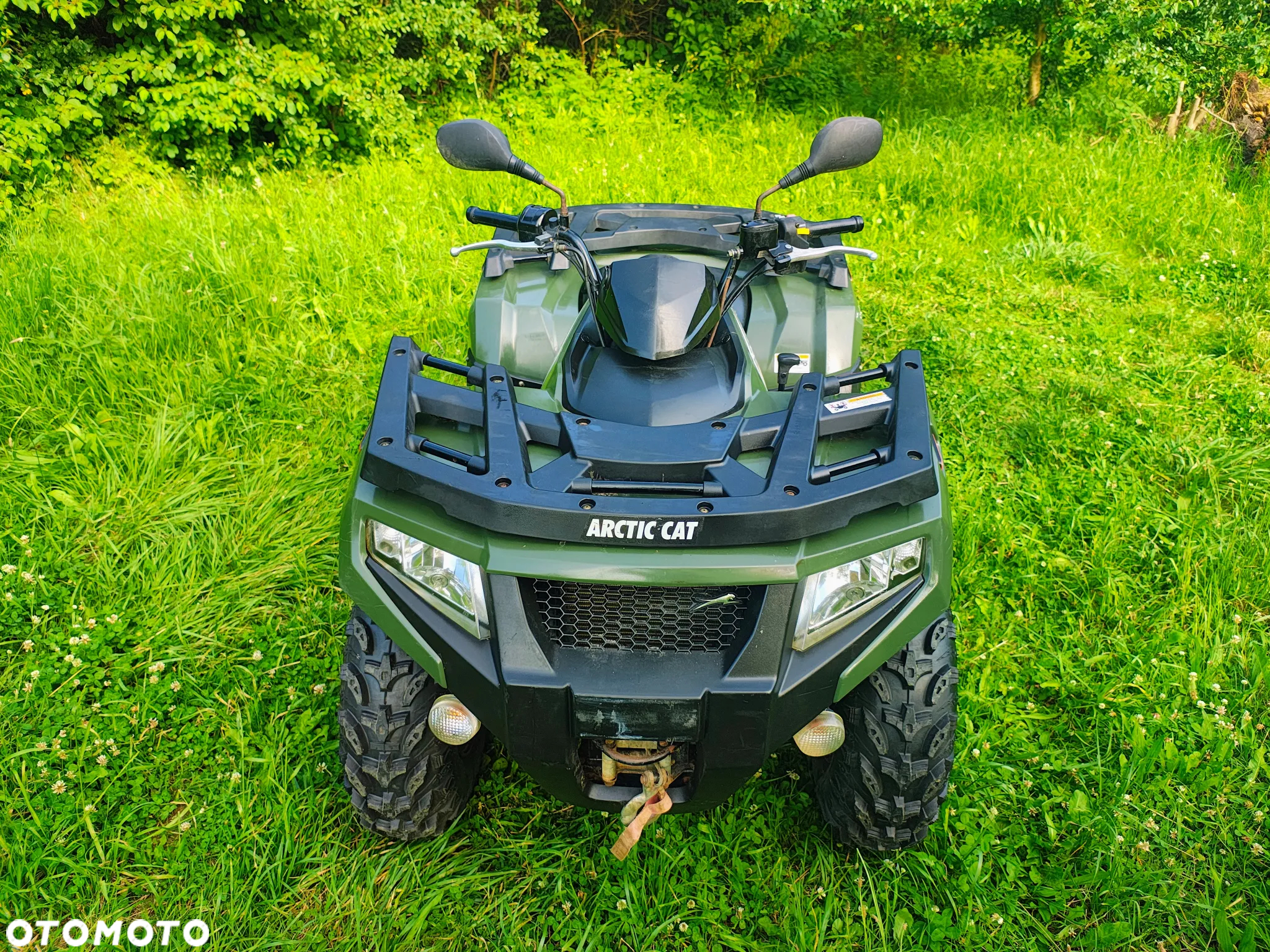 Arctic Cat Inny - 13