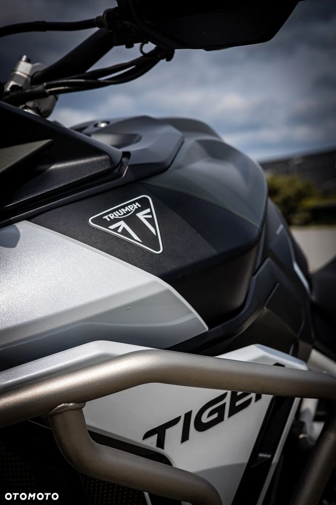 Triumph Tiger - 11