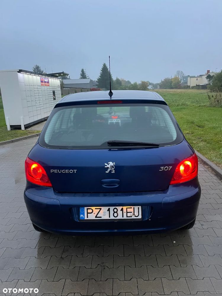 Peugeot 307 - 10
