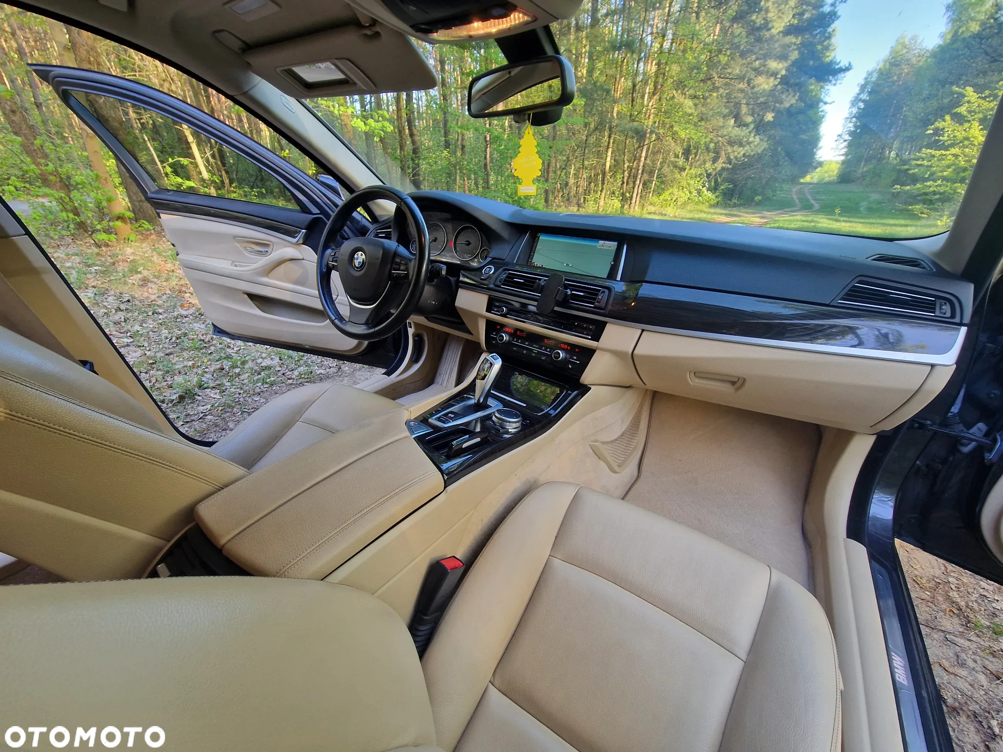 BMW Seria 5 520d Luxury Line sport - 36